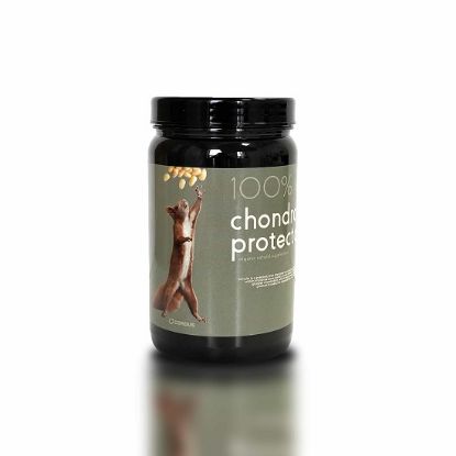 Picture of CHONDROPROTECTOR CORDUS, 400g.
